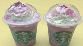 News The Unicorn Frappuccino: It Just Looks Pretty for College Students
