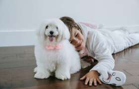News Tips for Babysitting Kids and Pets for College Students