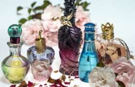 News Top 5 Perfumes For College Girls for College Students