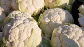 News 5 Creative Ways to Cook With Cauliflower for College Students