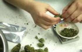 Massachusetts OKs Medical Marijuana 