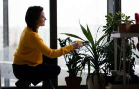 News Tips for Not Killing Your Houseplants This Winter for College Students