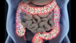 UCLA Online Courses Nutrition and Health: Human Microbiome for UCLA Students in Los Angeles, CA