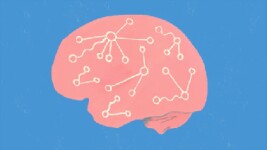 DU Online Courses Fundamentals of Neuroscience, Part 3: The Brain for University of Denver Students in Denver, CO
