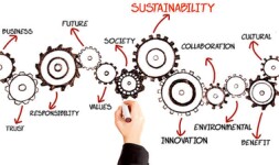 WFU Online Courses Introduction to Corporate Sustainability, Social Innovation and Ethics for Wake Forest University Students in Winston Salem, NC