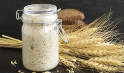 Purdue Online Courses Food Fermentation: The Science of Cooking with Microbes for Purdue University Students in West Lafayette, IN