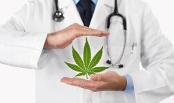 UVA Online Courses Medical Cannabis for University of Virginia Students in Charlottesville, VA