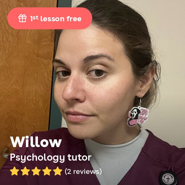 Willow L. Tutors College Students