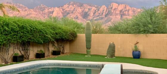 Carrington College-Tucson Housing Home with Stunning Views for Carrington College-Tucson Students in Tucson, AZ