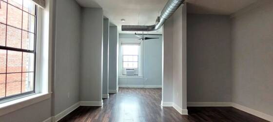 MSU Housing Available Now Downtown Super Cute Studio loft! for Missouri State University Students in Springfield, MO