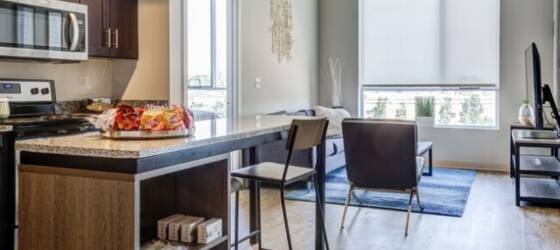 Fontbonne Housing Single Furnished Studio at Everly on the Loop for Fontbonne University Students in Saint Louis, MO