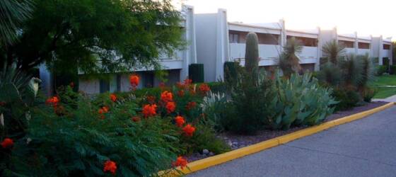 Brookline College-Tucson Housing Fully Furnished Big Beautiful  2Bd/2Ba Condo W/D for Brookline College-Tucson Students in Tucson, AZ