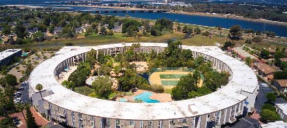 SDCC Housing Sunny 1 BR, W/D, Pool, Resort Amenities for San Diego City College Students in San Diego, CA