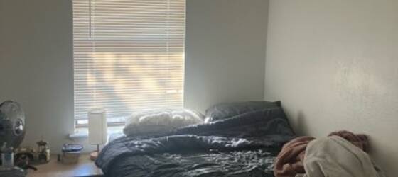 Colorado Housing 1 Bedroom Sublease  for Colorado Students in , CO