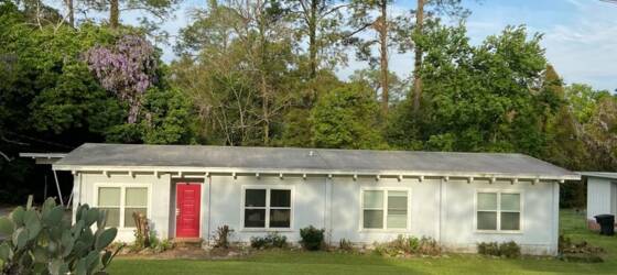 Tallahassee CC Housing Beautiful 4 bedroom home near FSU! for Tallahassee Community College Students in Tallahassee, FL